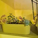 Casa Flora Civitella dʼAgliano